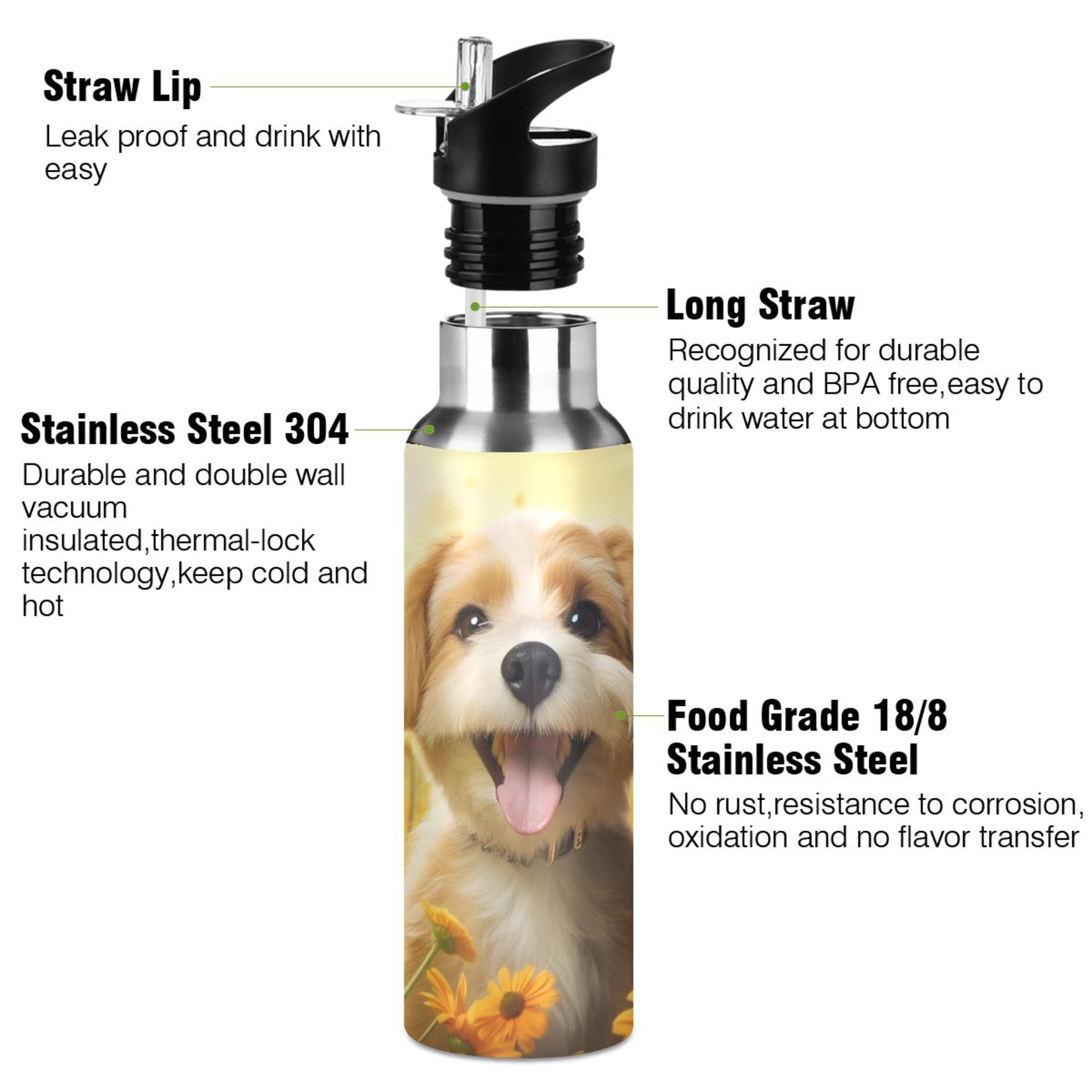 20 oz Insulated Stainless Steel Water Bottle with Straw Lid V718934