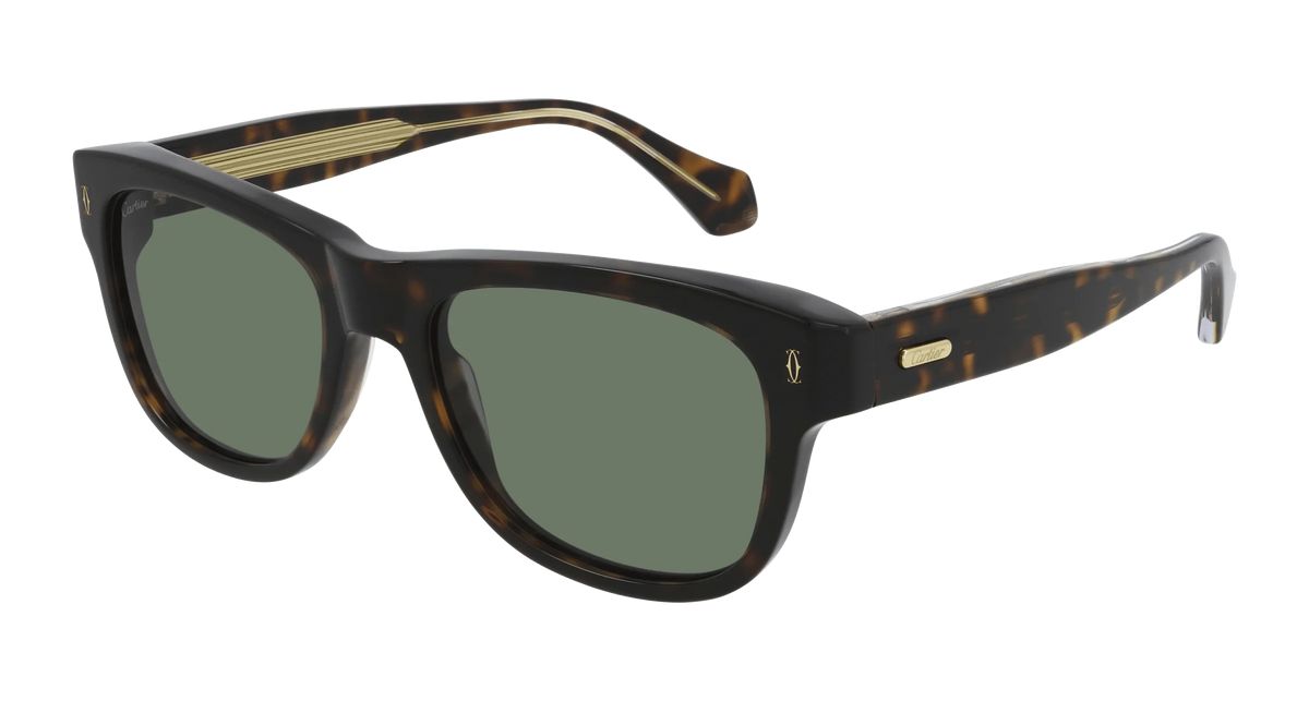 55mm Sunglasses M80523