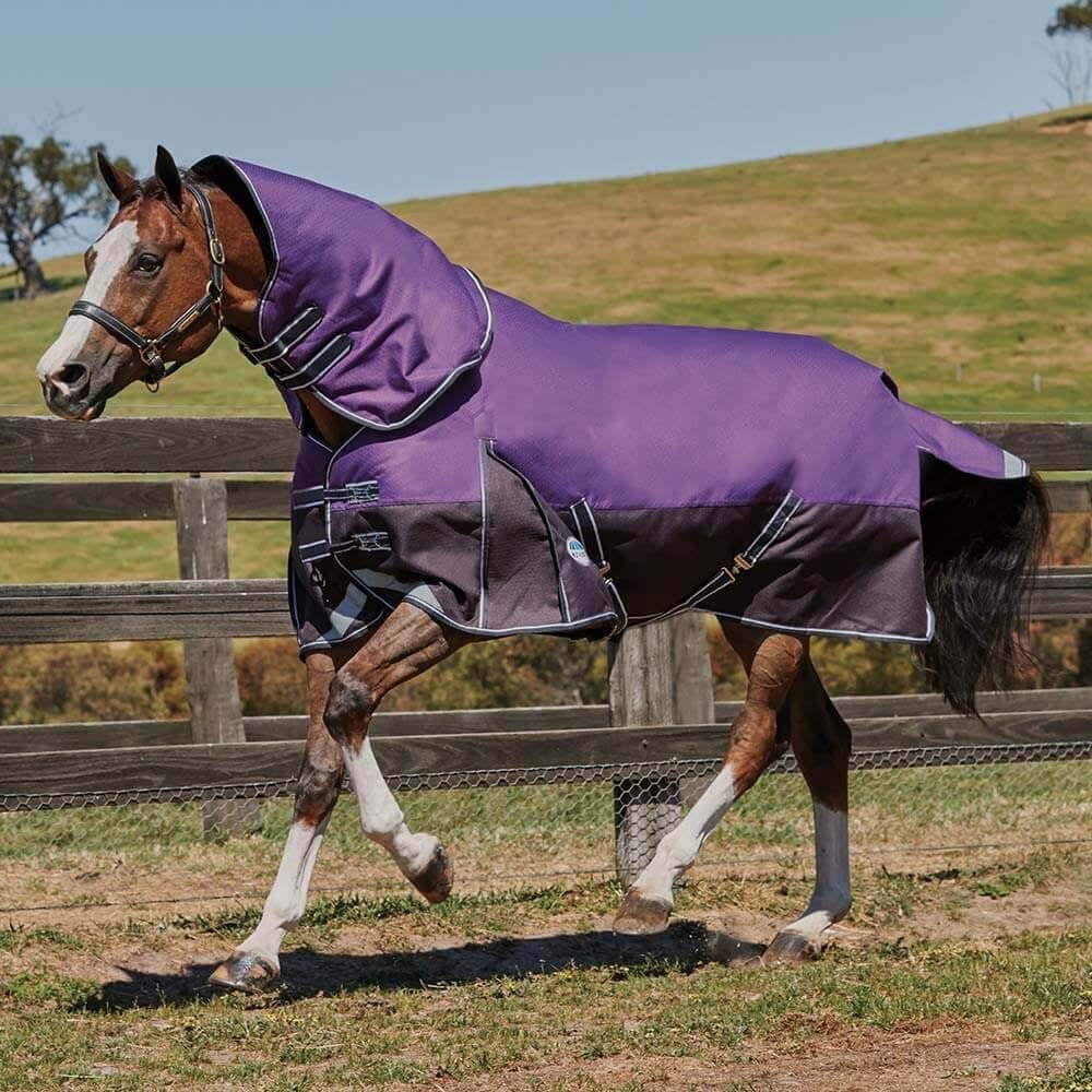 Purple 0g Detach A Neck Turnout U63306