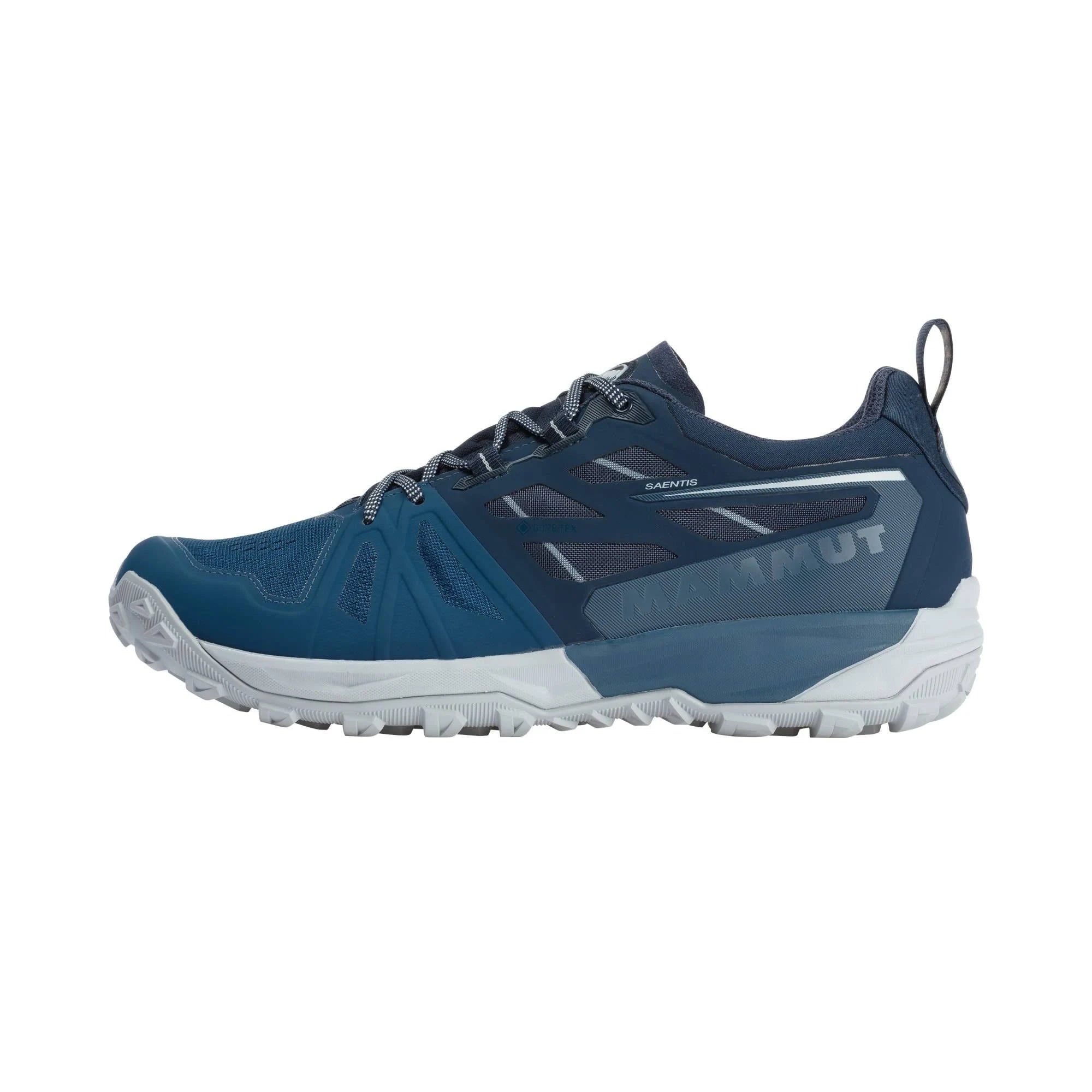 Wing Teal Low GTX Hiking Shoes Z48052