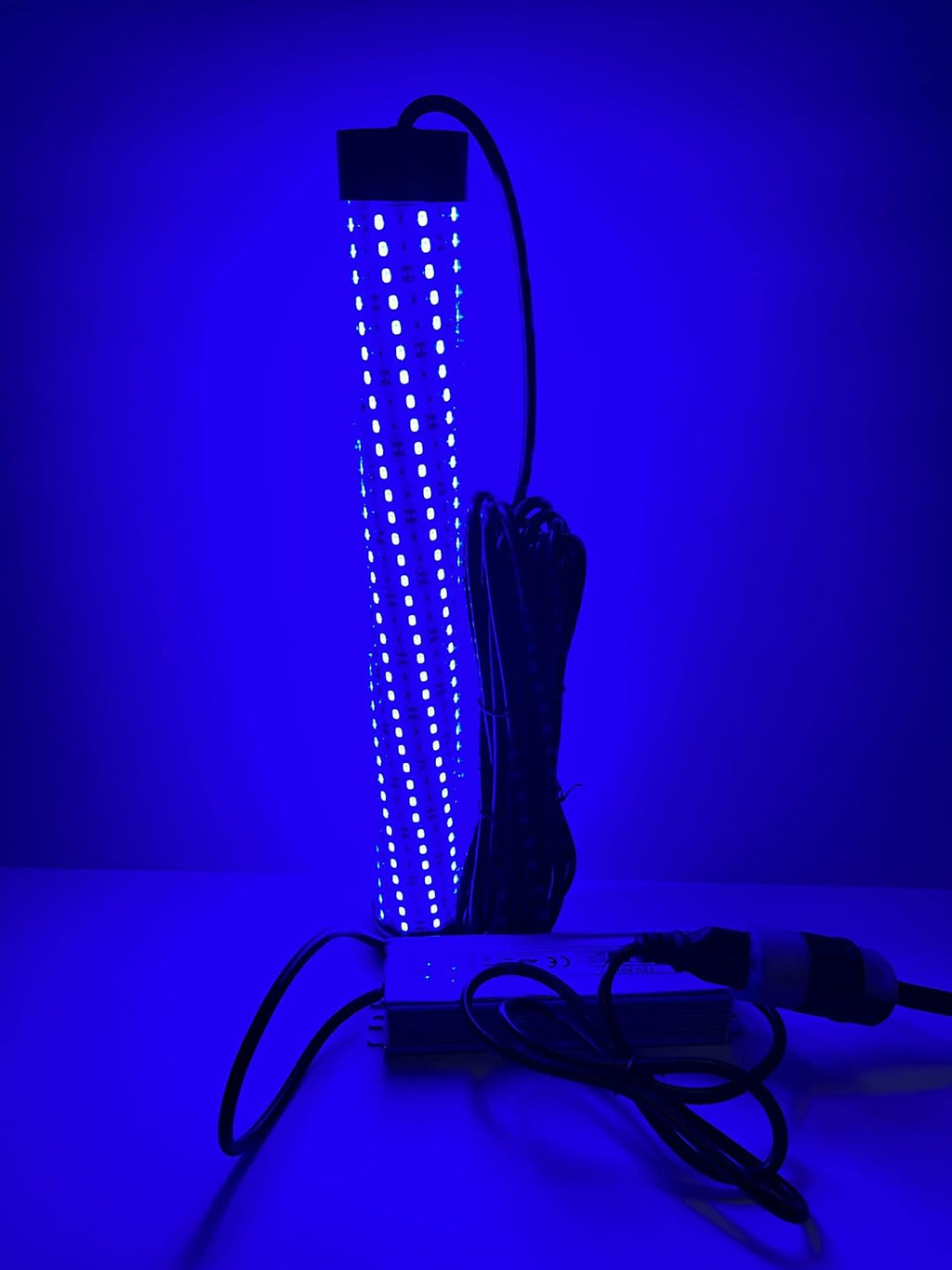 Blue 15,000 Lumen 300 LED 30ft Cord Waterproof AC Underwater Fishing Light R830