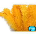 Golden Yellow Large Wing Plumes Wholesale Feathers L331