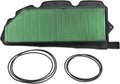 Air Filter Pack of 2 D210