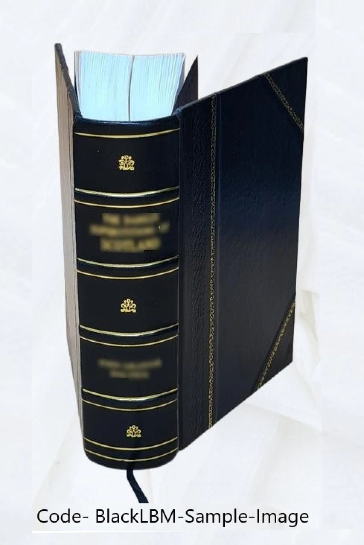 Leather Bound Book Q884