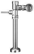 Flushometer V817862