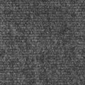 Gray 6 Feet x 30 Feet Indoor Outdoor Carpet with Rubber Backing N813