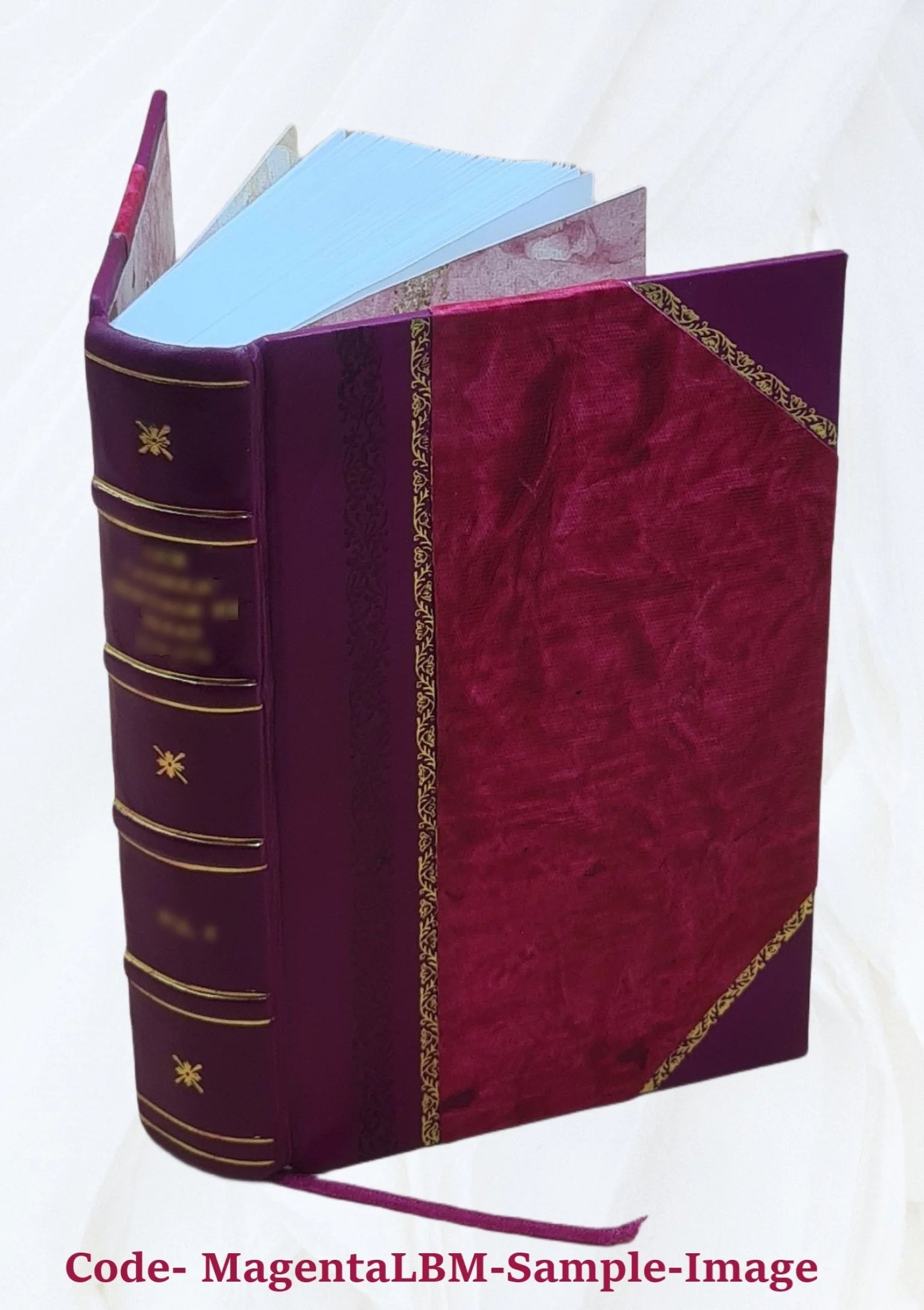 Leather Bound Book Q884